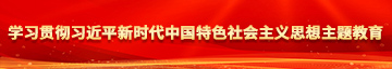 操白虎女生逼视频学习贯彻习近平新时代中国特色社会主义思想主题教育